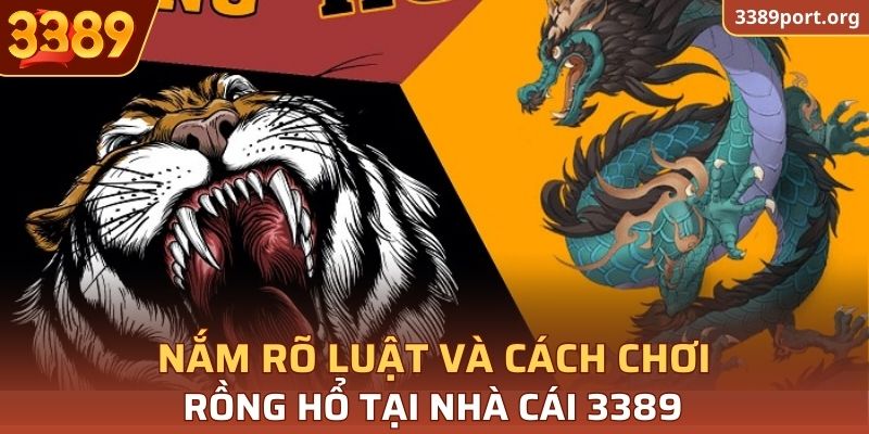 Chi tiết cách chơi và luật cho người mới chơi Rồng Hổ