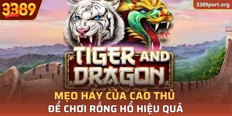 Một vài mẹo hay giúp bạn chơi Rồng Hổ hiệu quả hơn