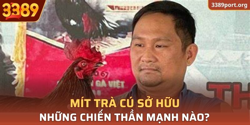 Các chiến kê giúp anh kiếm tiền khủng