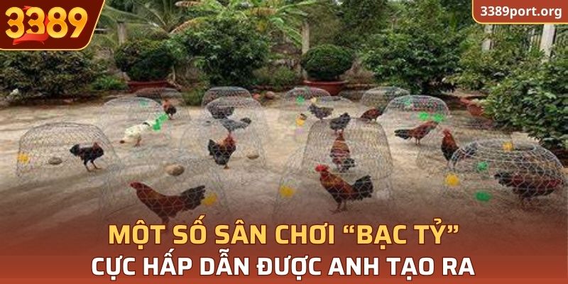 Các sân chơi được đầu tư tiền khủng