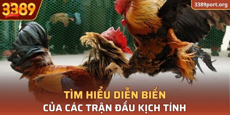 Diễn biến kịch tính hồi hộp từng trận
