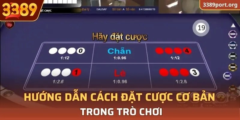 Hướng dẫn cách đặt cược cơ bản trong trò chơi