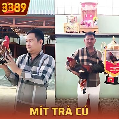 Mít Trà Cú