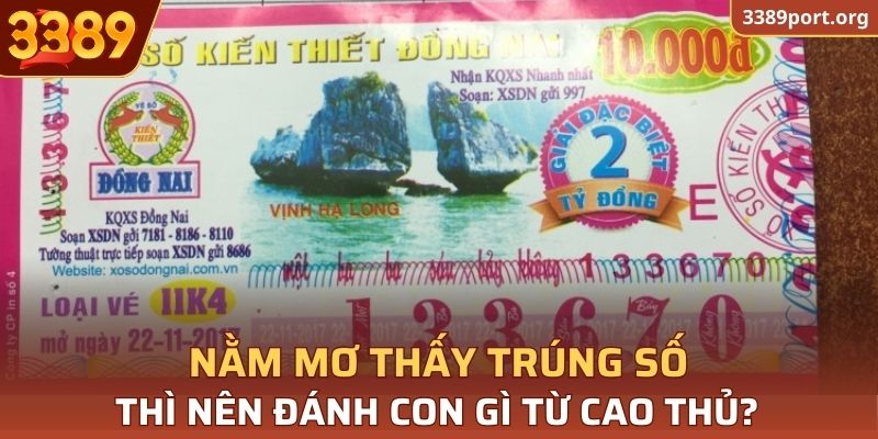 Một số con nên đánh khi bạn nằm mơ thấy trúng số