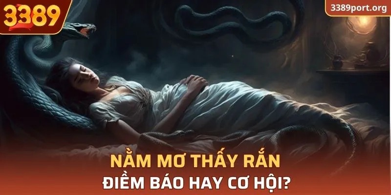 Nằm mơ thấy rắn - Điềm báo hay cơ hội?