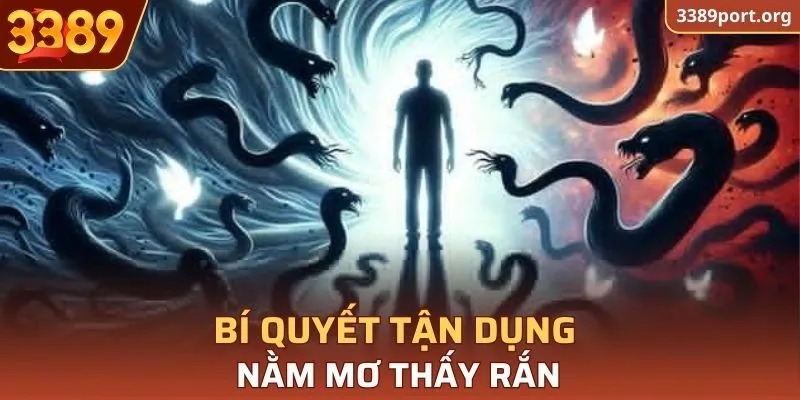 Bí quyết tận dụng nằm mơ thấy rắn