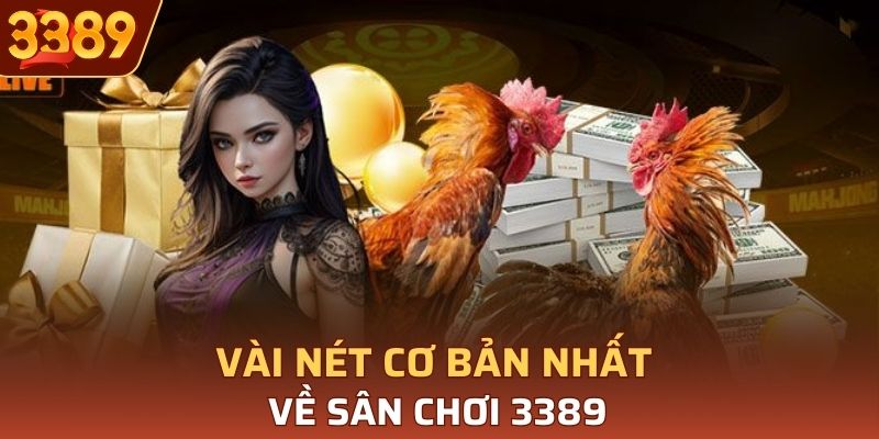 Vài nét về sân chơi 3389